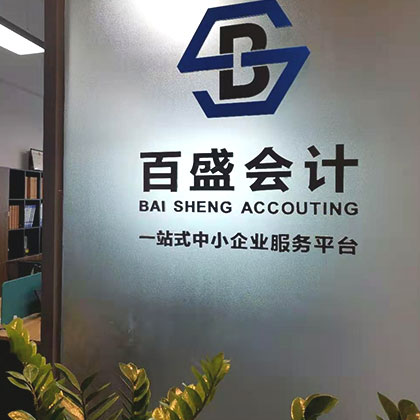 一般納稅人代理記賬（內(nèi)資）